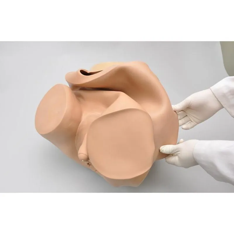 Advanced Patient Care Male Prostate Simulator, Light