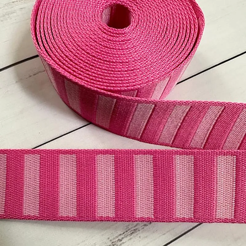 Bold Stripe Webbing in Flamingo/Pale Pink