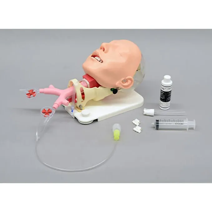 Difficult Airway Management Demonstration Model