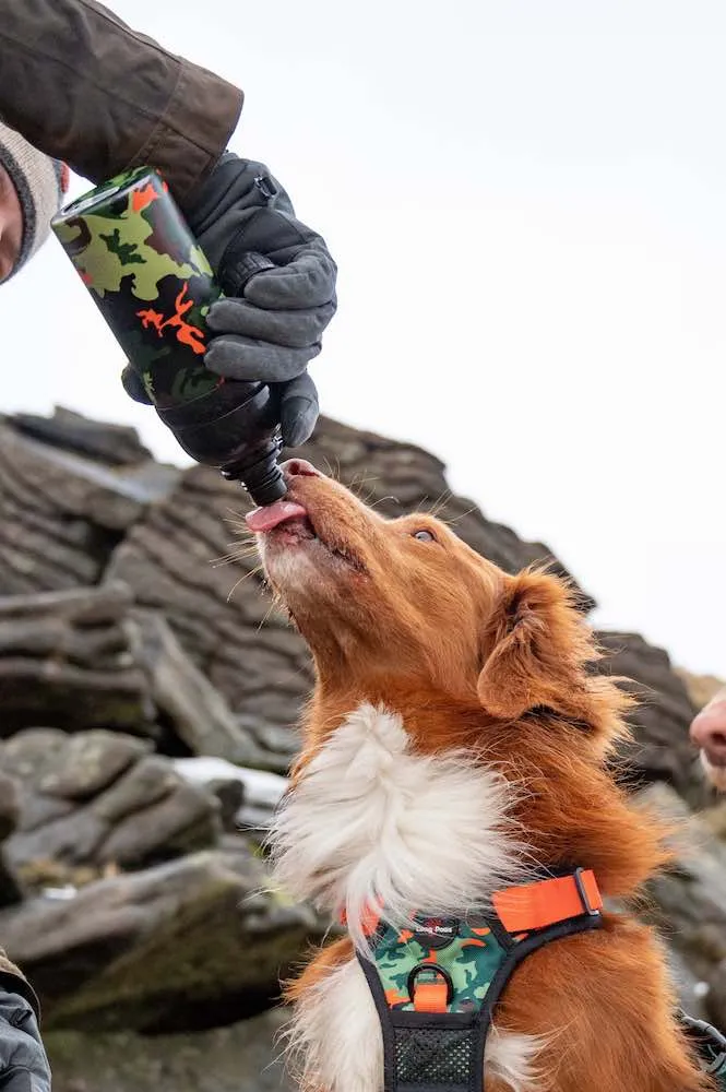 Dog Water Bottle, Lick 'n Flow, Camo