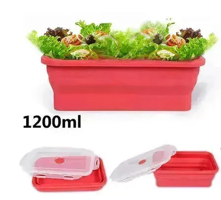 Folding lunch box