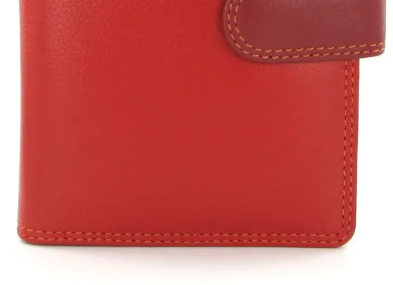 Visconti Rainbow Passport Holder RB75 Red Multi